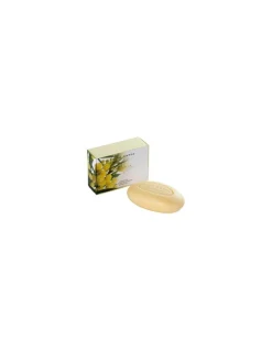 Acca Kappa - Sapone alla Mimosa 150gr. - Coltelleria Lorenzi Milano