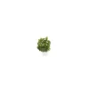 Click & Grow - Click & Grow Refill Stevia - Coltelleria Lorenzi Milano