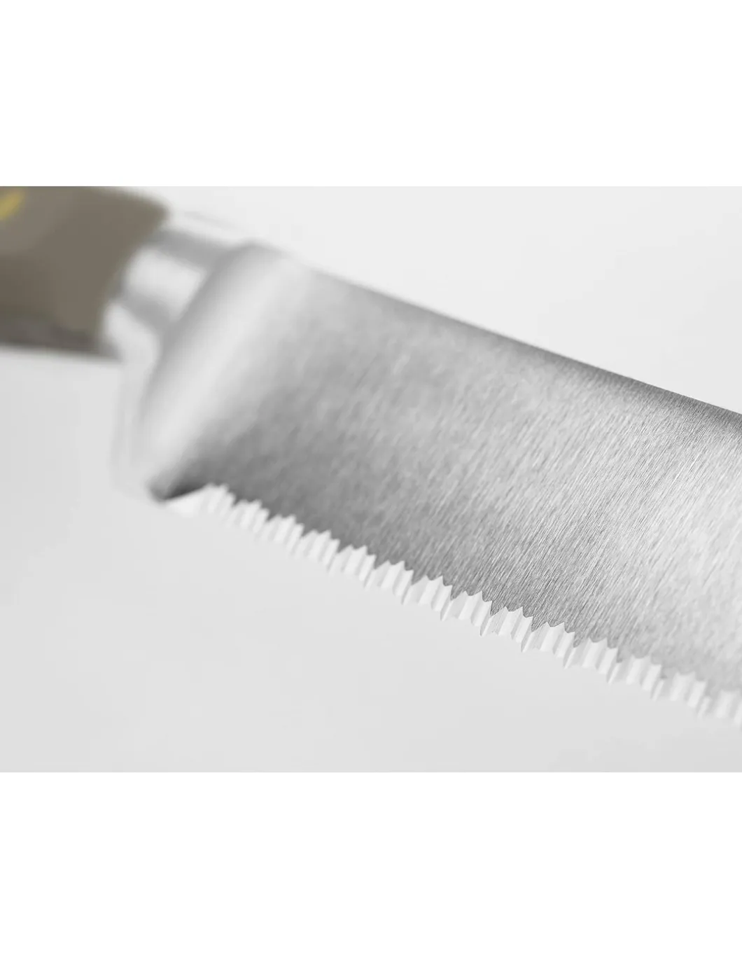 Coltello Pane Classic Wusthof Velvet Oyster