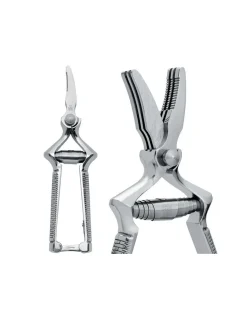 Due Cigni - Masticatore per Alimenti Inox 2C975-18 - Coltelleria Lorenzi Milano