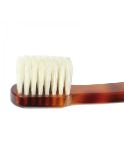 Spazzolino da Denti Morbido Tartarugato Classico