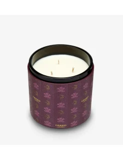 Vanisia Oud Leather Candle 650 gr